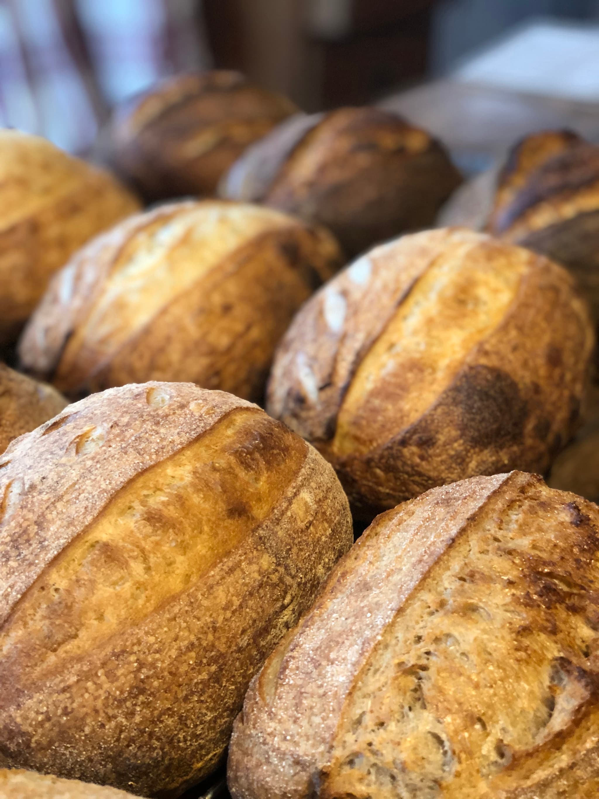 Organic Light Wholemeal Sourdough 550g