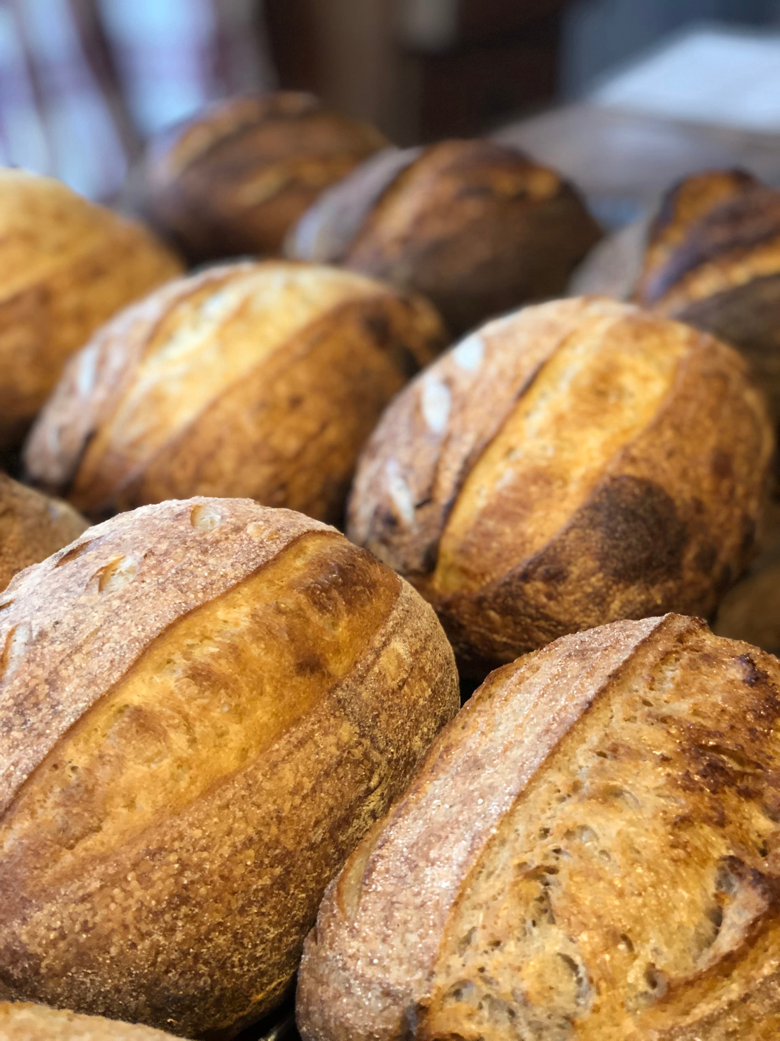 Organic Light Wholemeal Sourdough 500g